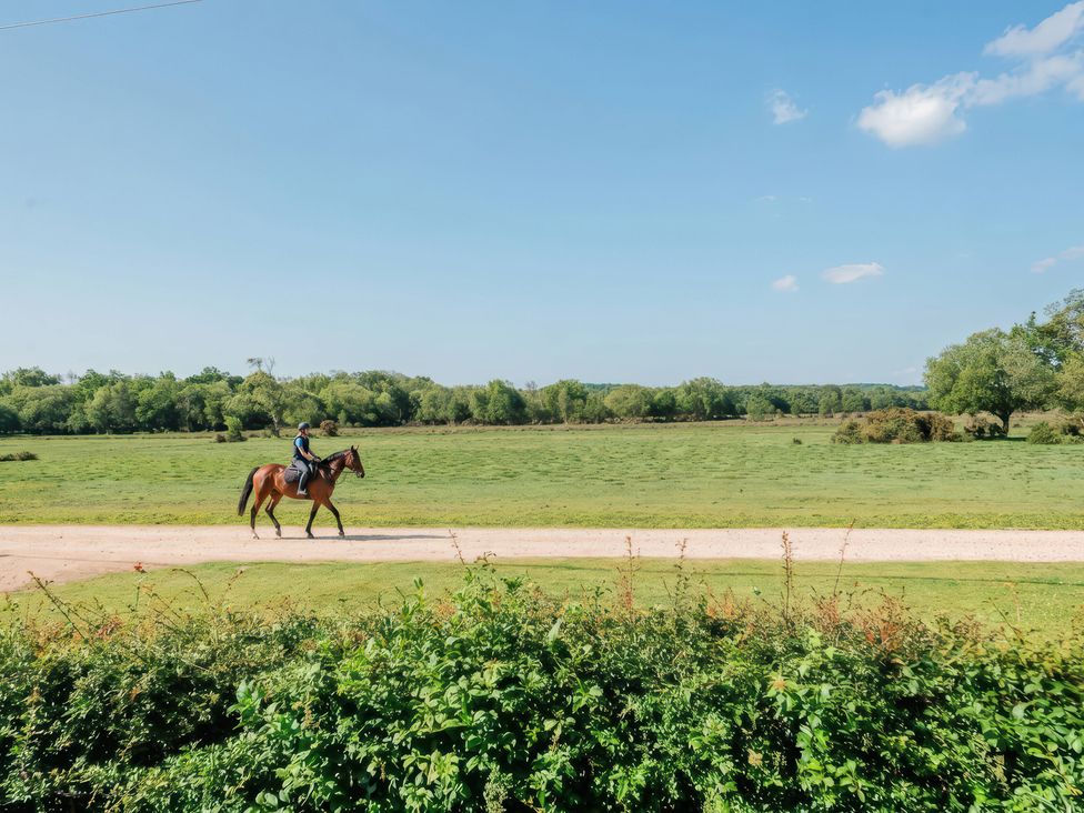 A rider on a horse along a path in a field at TBC 
