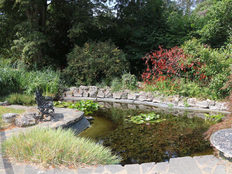 A garden with a pond and a bench at Cree Cottage