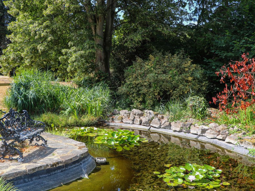 A garden with a pond, lilies, and a bench at Cree Cottage