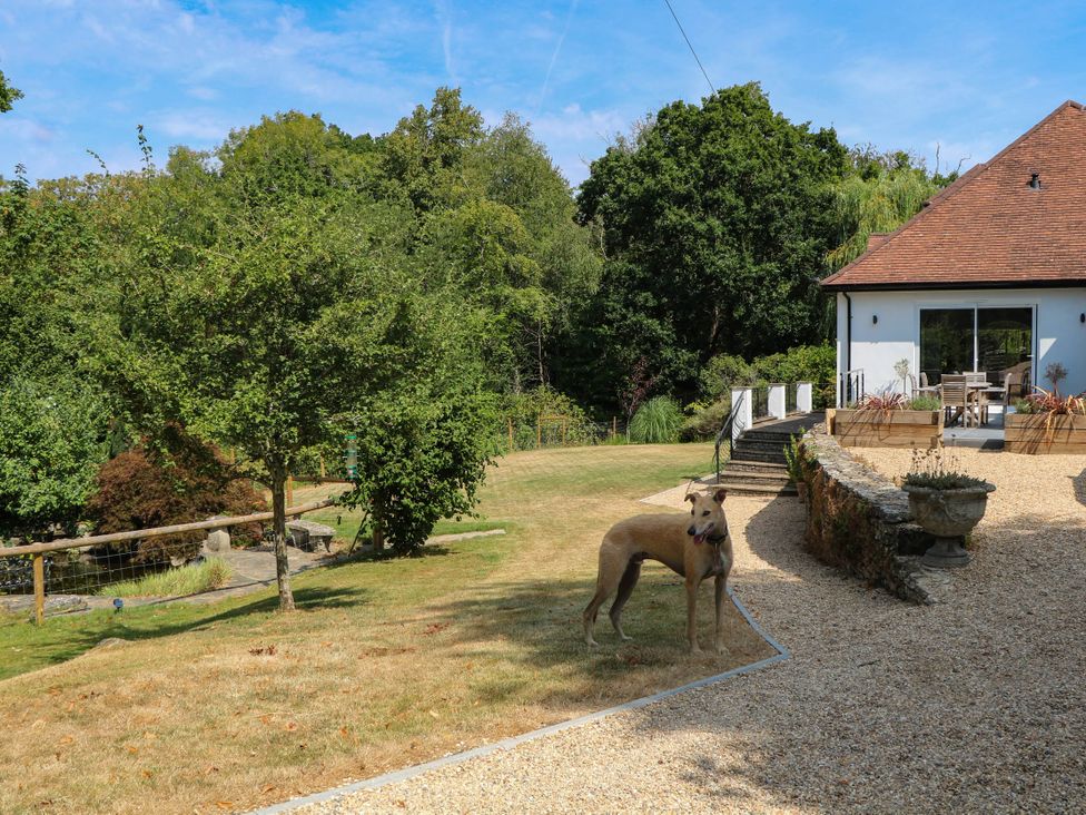 A garden with a dog and a house at Cree Cottage