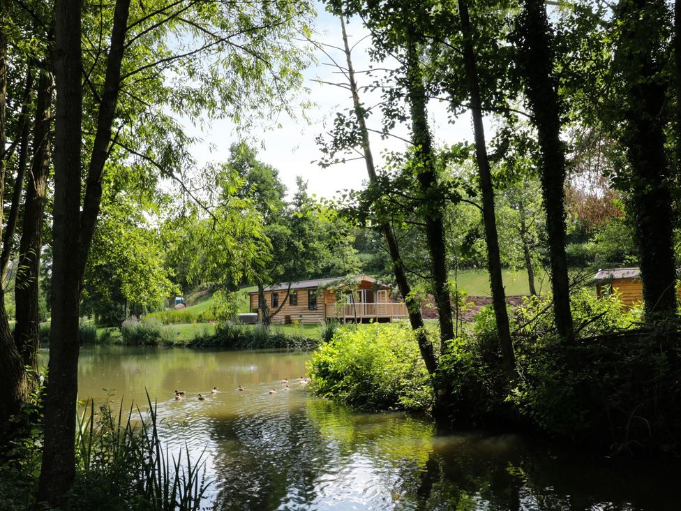 A cabin by a pond surrounded by trees at Kingfisher in Ross-on-Wye