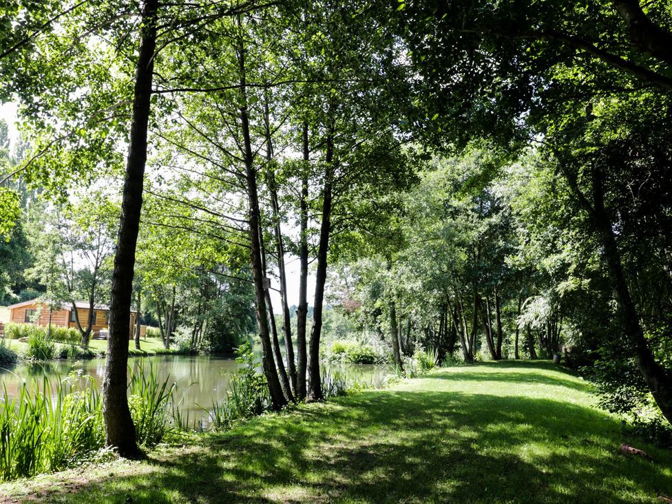 A garden with trees and a pond at Kingfisher in Ross-on-Wye