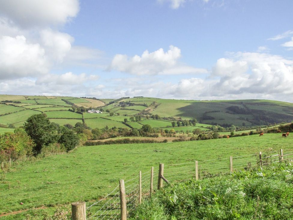 A landscape with hills and cows at Mallard in Ross-on-Wye