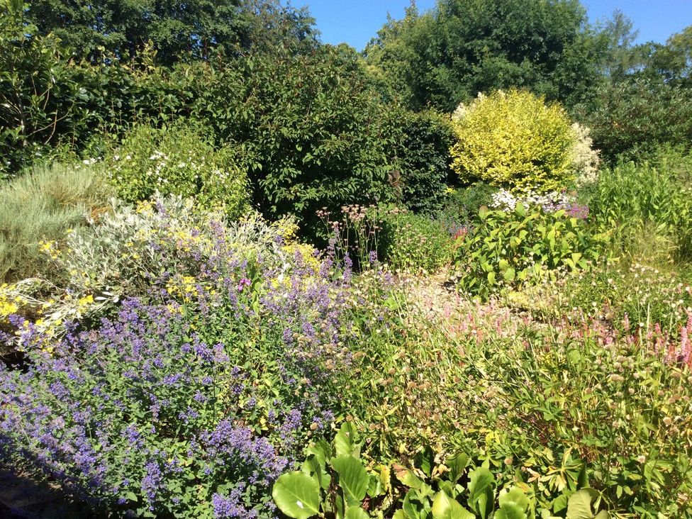 A garden with various flowers and shrubs at The Old Barn in Hereford