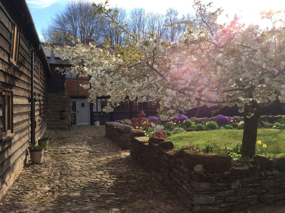 A pathway in a garden with flowers and a tree at The Old Barn in Hereford