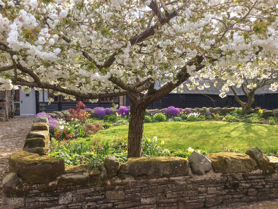 A garden with a flowering tree and stone wall at The Granary in Hereford