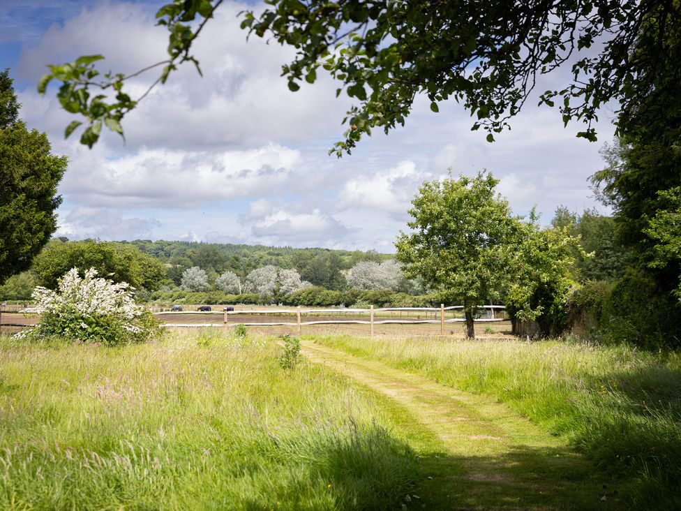 A path leading through grass and trees at Ambersham House in Midhurst