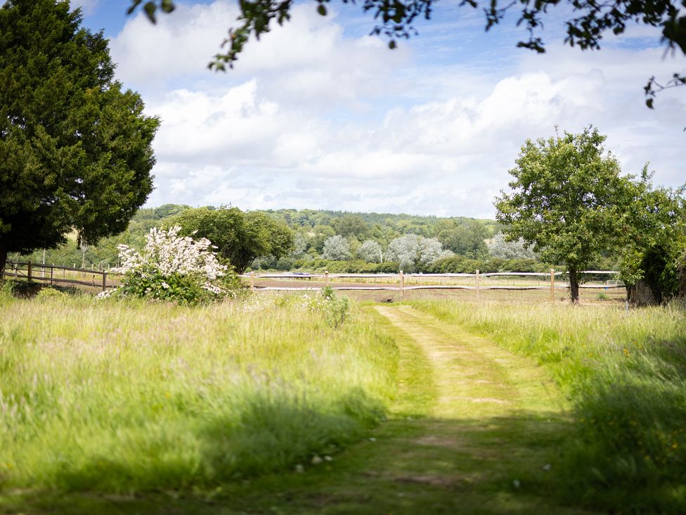 A pathway surrounded by grass and trees at Ambersham House in Midhurst