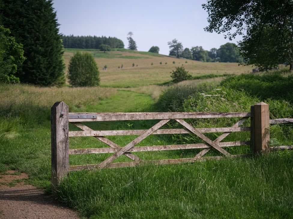 A wooden gate leading to a grassy path at Oaters Wood in Petworth