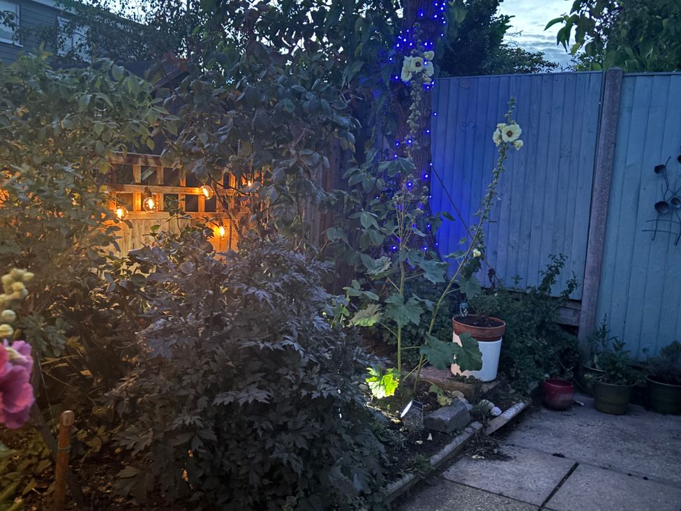 A garden with plants and lights at Oakwood Annexe in Colchester