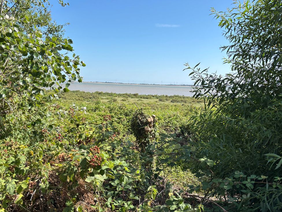 A view of water with vegetation at Oakwood Annexe in Colchester