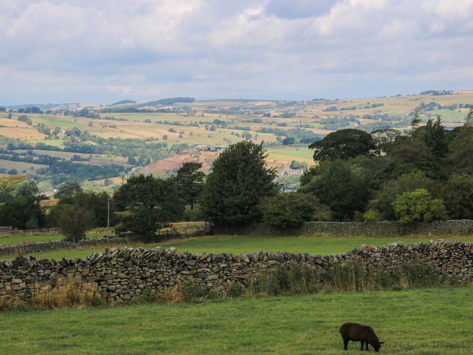 A sheep grazing in a field with hills and stone walls at Lodge in High Peak
