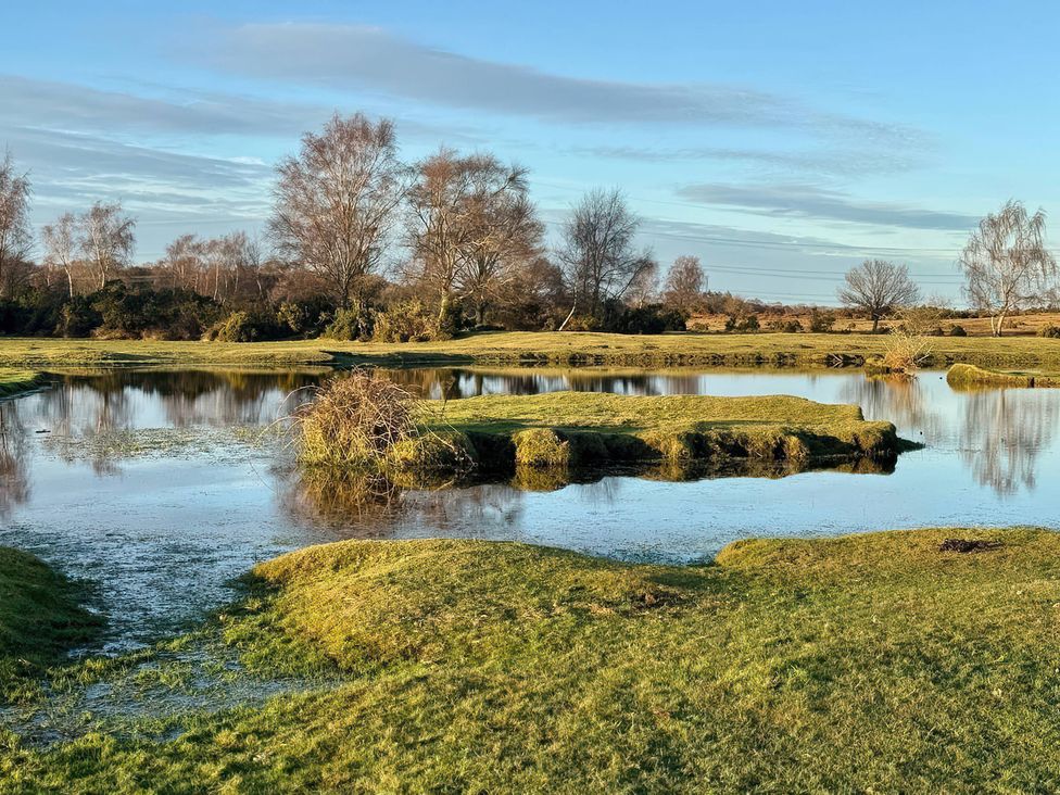 A landscape with water and grassy areas at TBC 