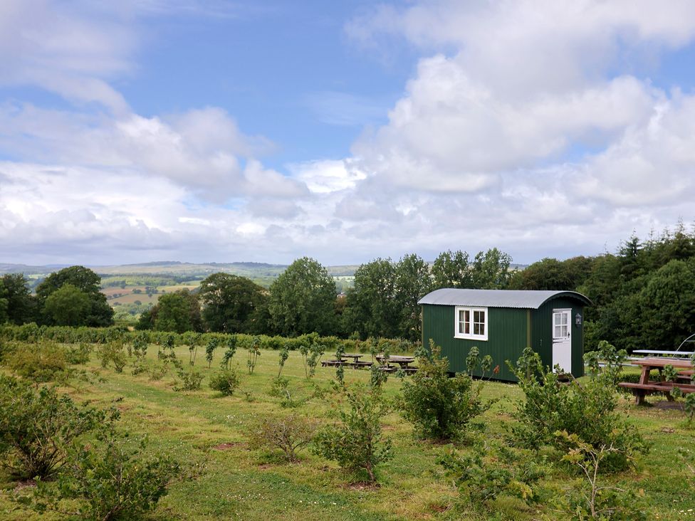 A shepherd hut in an outdoor area with grass and trees at Shepherds Hut at East Hill Pride Four Elms Hill Nr. Sidmouth
