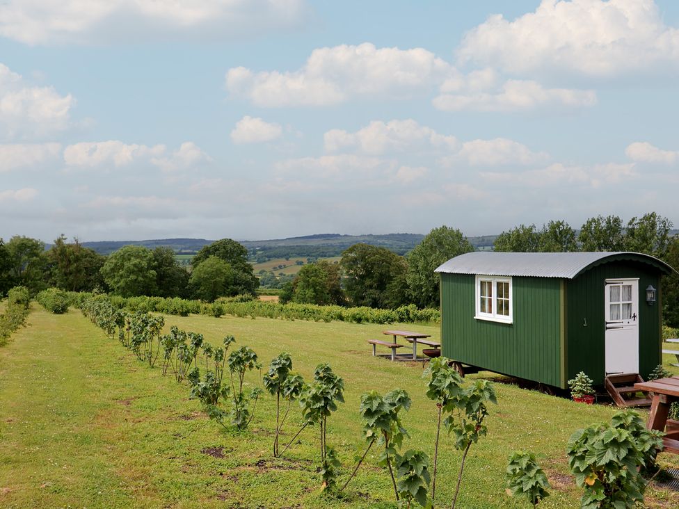 A shepherd's hut near a vineyard at Shepherds Hut at East Hill Pride Four Elms Hill Nr Sidmouth