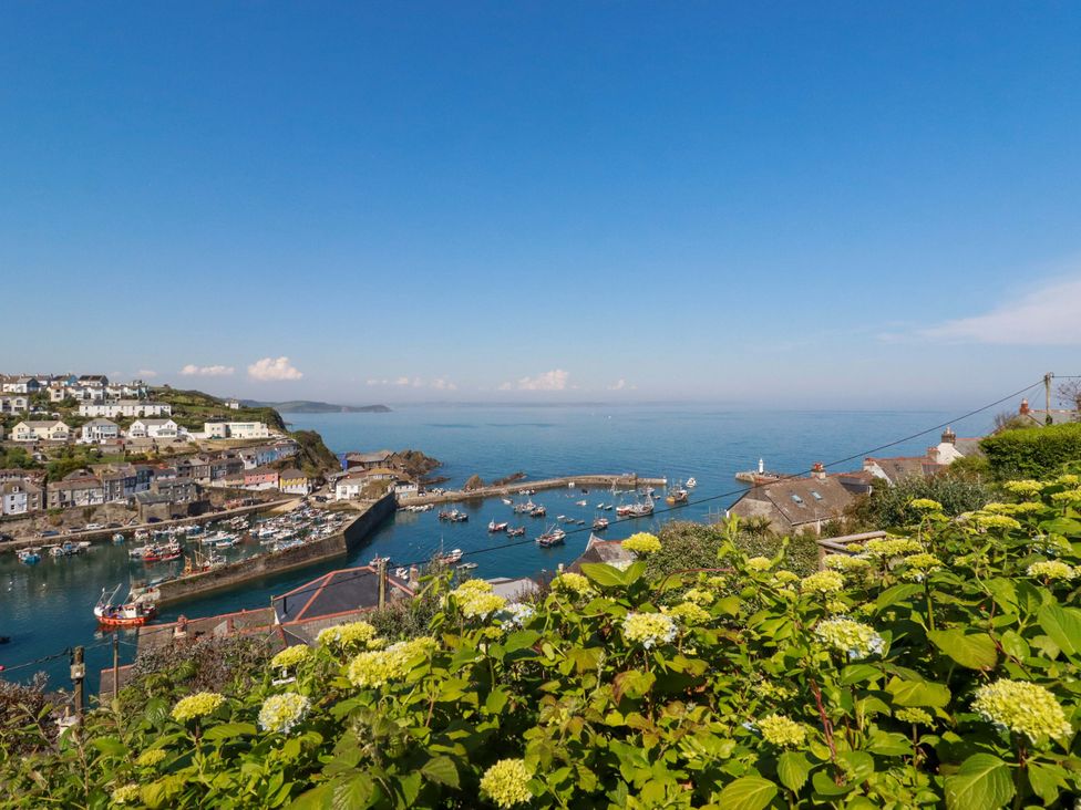 A view of a harbor with boats and houses at Trewollock in Mevagissey