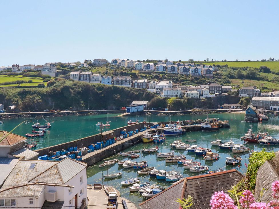 A view of a harbor with boats and houses at Trewollock in Mevagissey