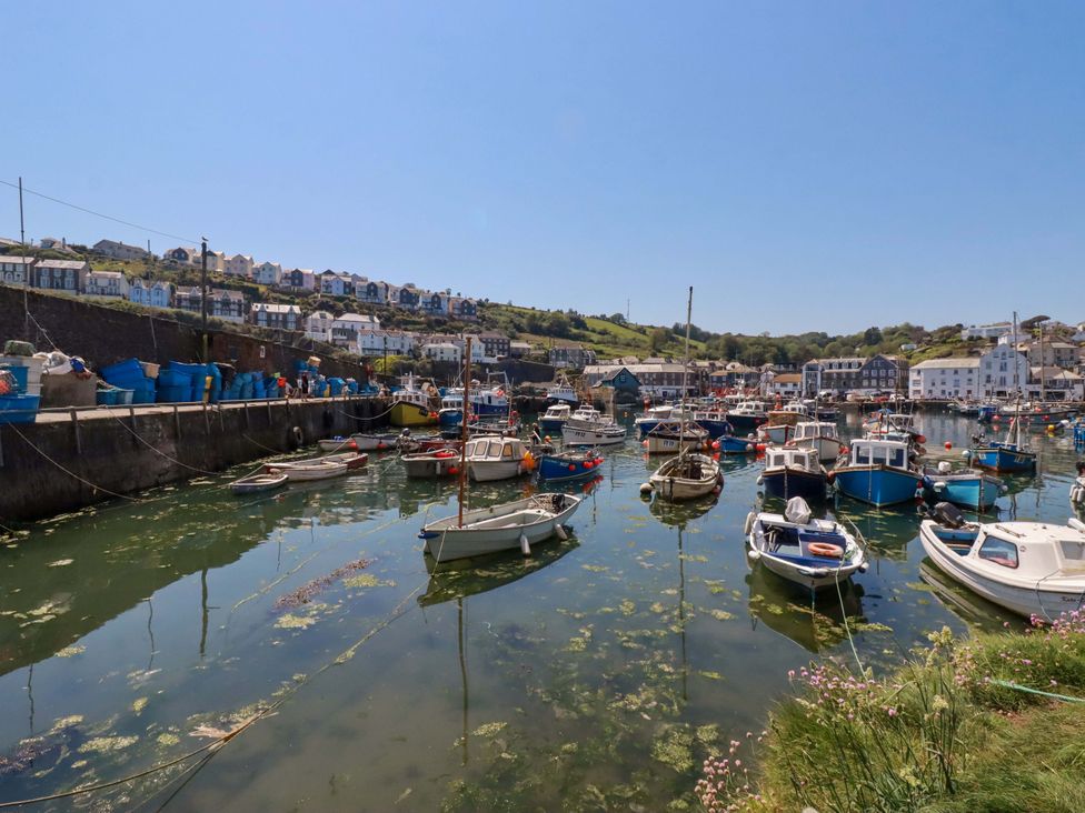 A harbor with boats and residential buildings at Trewollock in Mevagissey