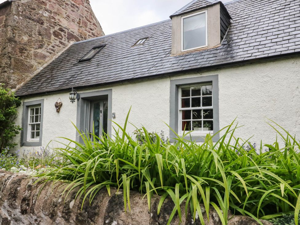 A cottage with windows and door surrounded by grass and plants at Sciora Cottage