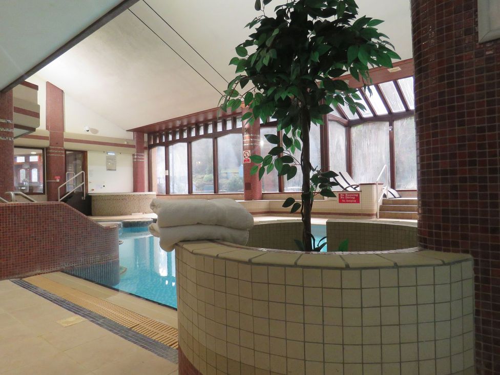 An indoor swimming pool with a plant and towels at Courtyard Cottage in Cartmel