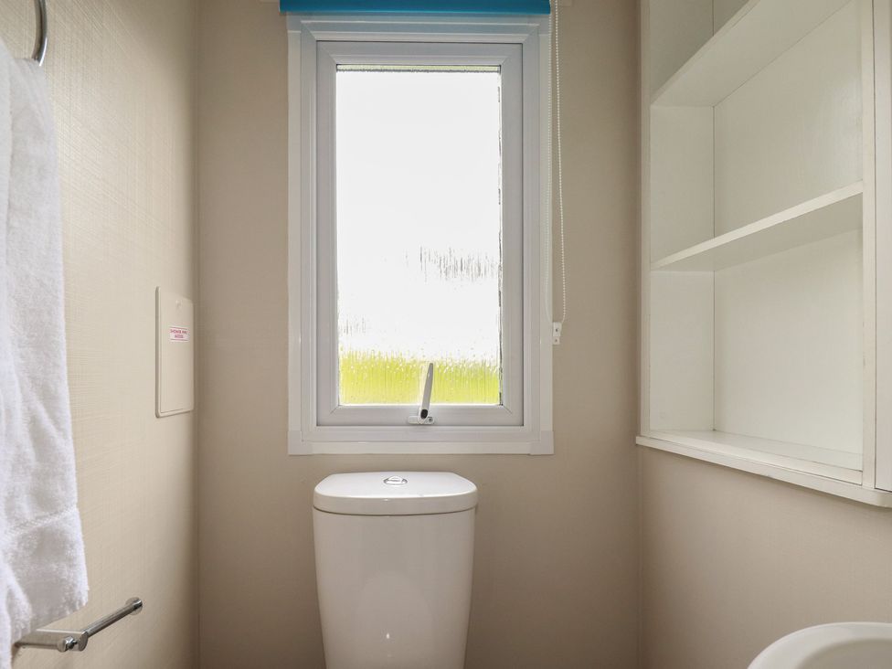 A bathroom with a toilet and window at Tucked Away in Newquay