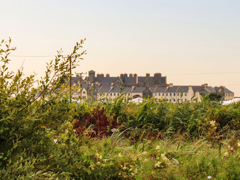 A view of buildings behind grass and plants at Golf Club View, County Clare