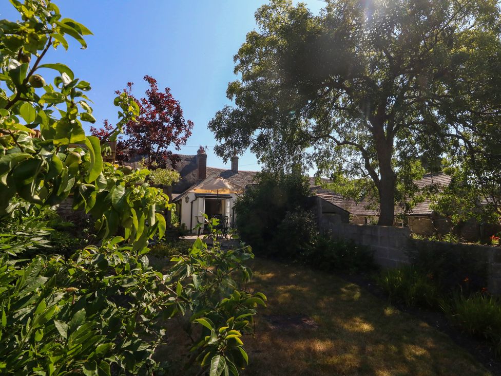 A garden with trees and a house at Little Wickers in Corfe Castle