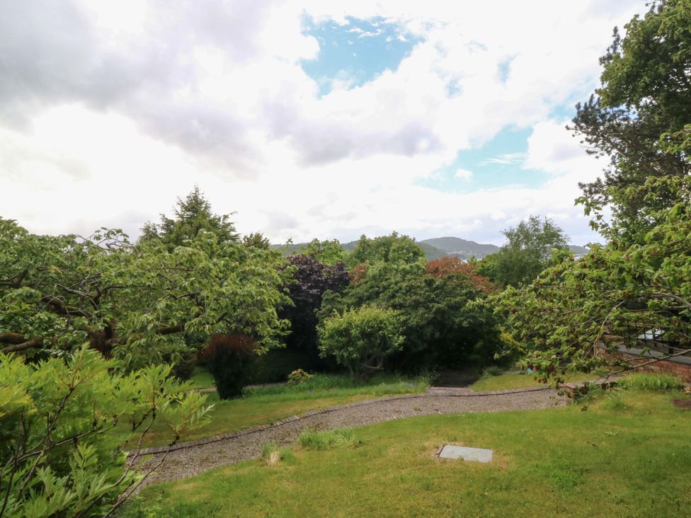 A garden with trees and a winding path at The Treehouse in Colwyn Bay