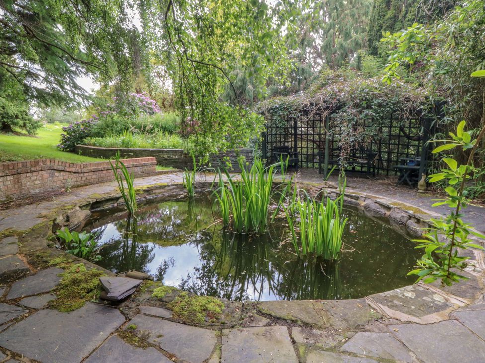 A garden with a pond and plants at The Treehouse in Colwyn Bay