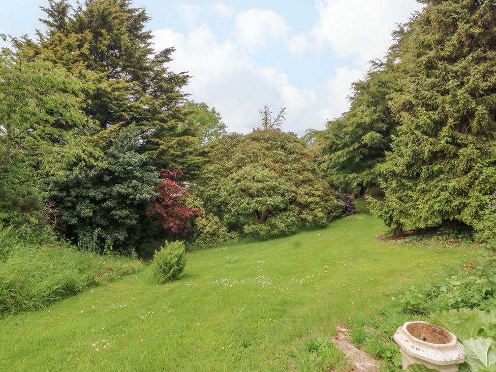 A garden with trees and grass at The Treehouse in Colwyn Bay