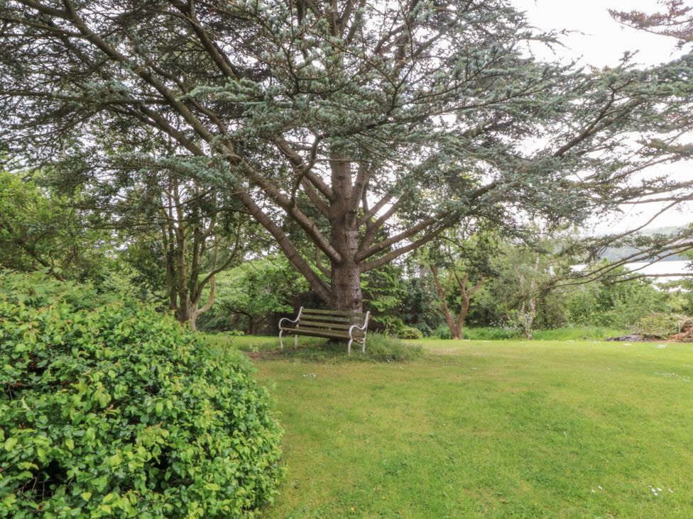 A garden with a tree and a bench at The Treehouse in Colwyn Bay