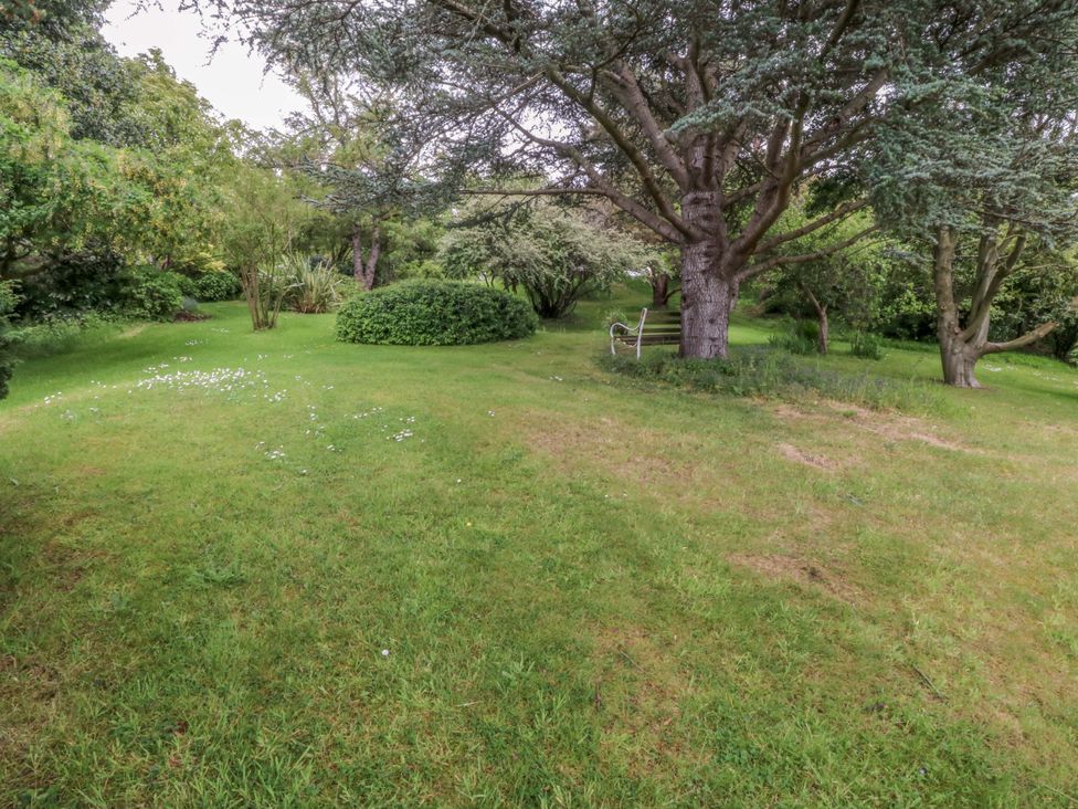 A garden with trees and a bench at The Treehouse in Colwyn Bay