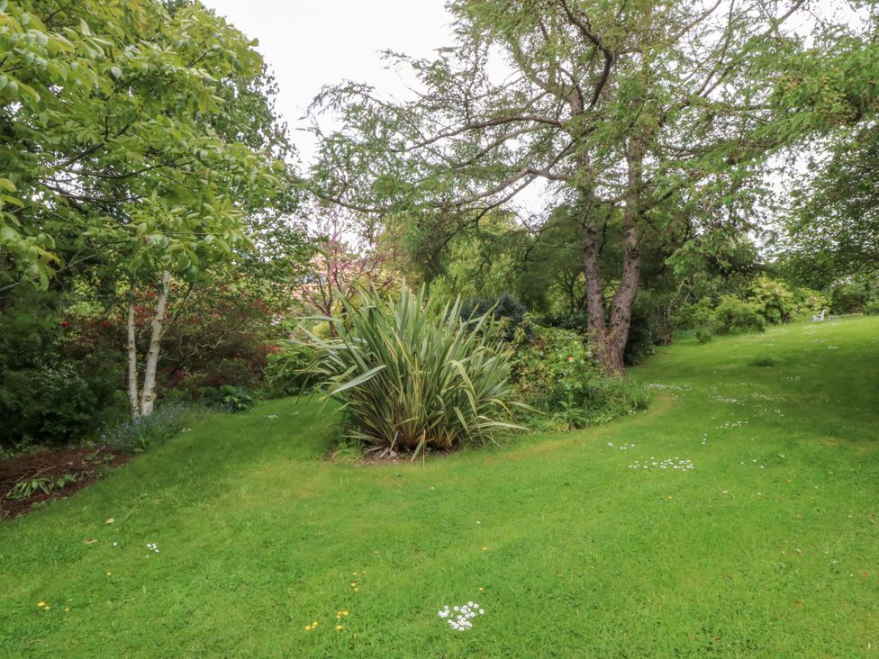 A garden area with trees and grass at The Treehouse in Colwyn Bay