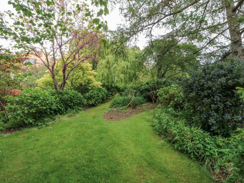 A garden with a pathway surrounded by trees and bushes at The Treehouse in Colwyn Bay