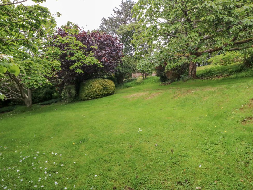 A garden with grass and trees at The Treehouse in Colwyn Bay