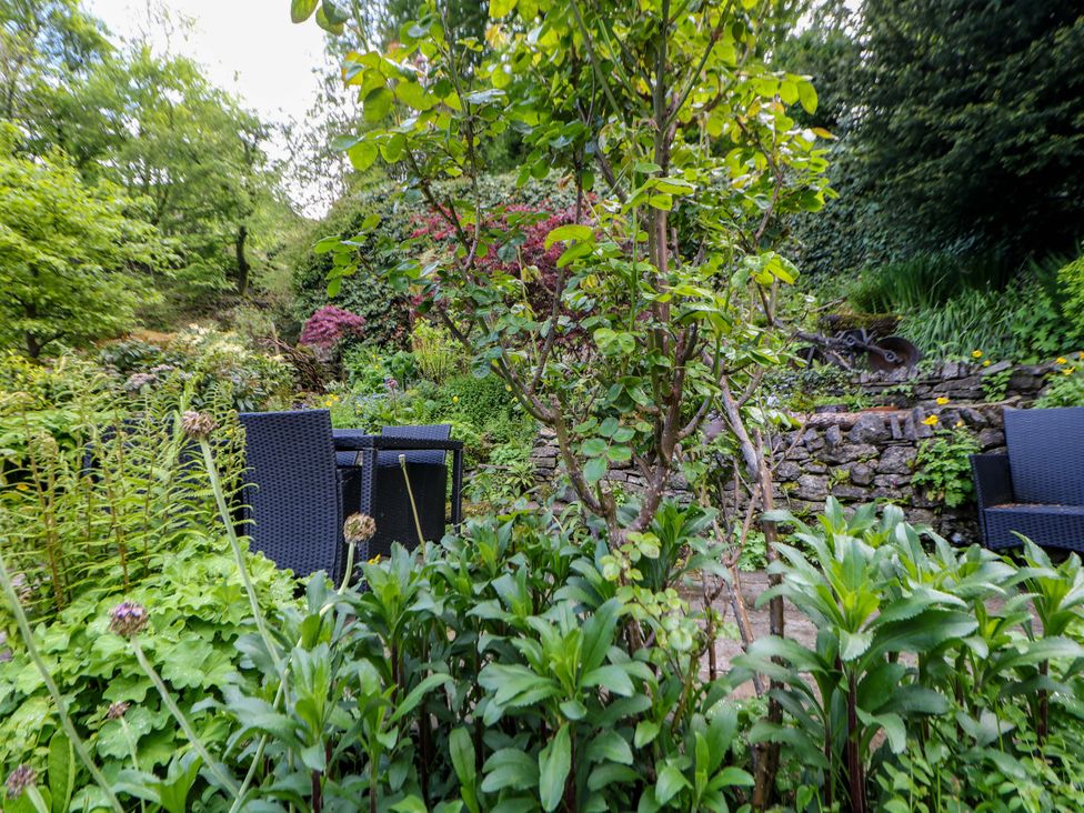 A garden with a tree and stone wall at Bargate Cottage in Hope Valley
