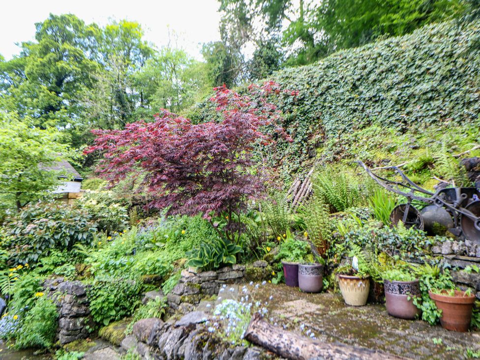 A garden with a red tree and stone wall at Bargate Cottage in Hope Valley