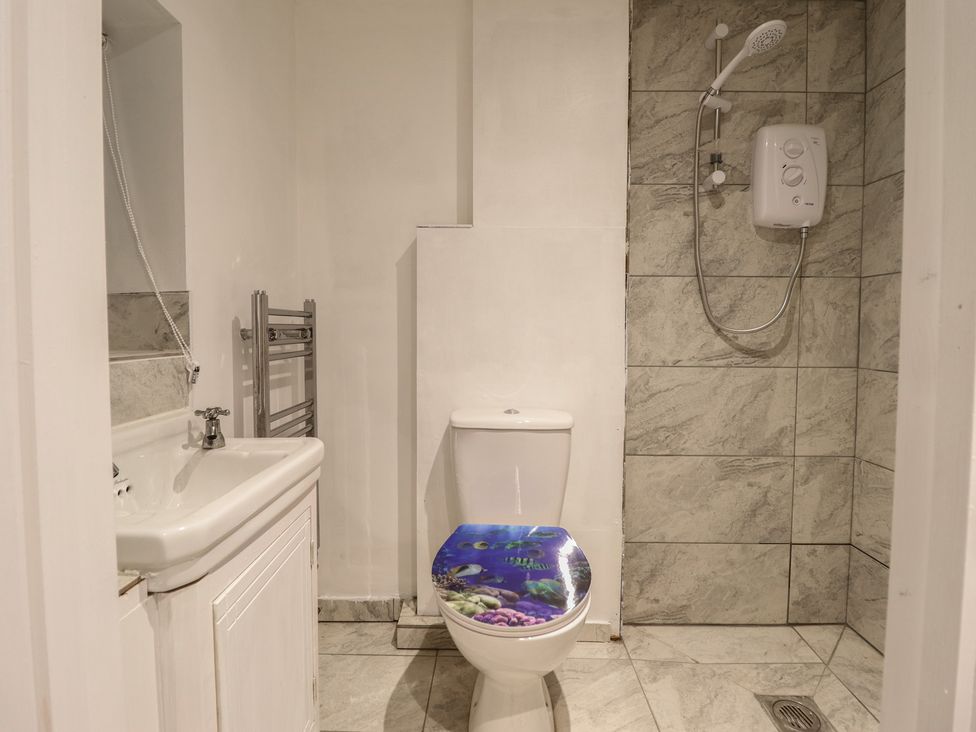 A bathroom with a sink, shower, toilet, and towel rail at Hay Loft at Ebenezer Chapel in Milwr