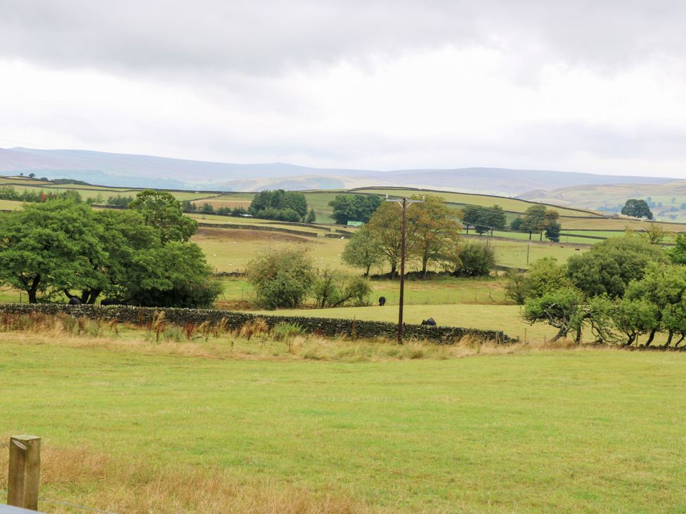 A field with trees and a stone wall at The View near Addingham