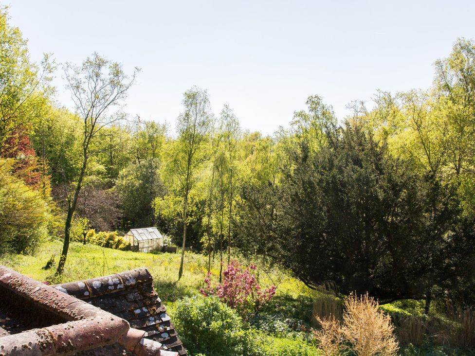 View of a garden with trees and a greenhouse at Whitebeams Pett Bottom near Stelling Minnis