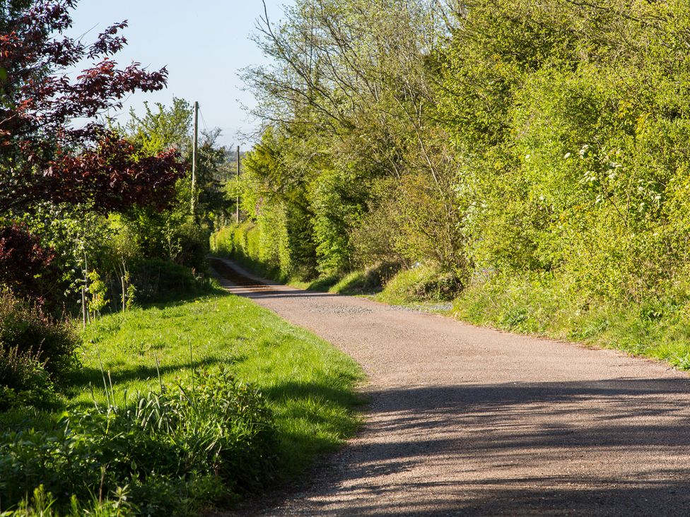 A winding road surrounded by greenery at Whitebeams in Pett Bottom near Stelling Minnis