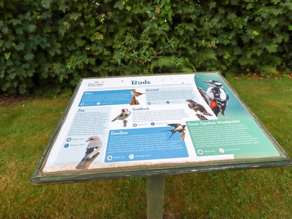 An information board about birds at Silverbow