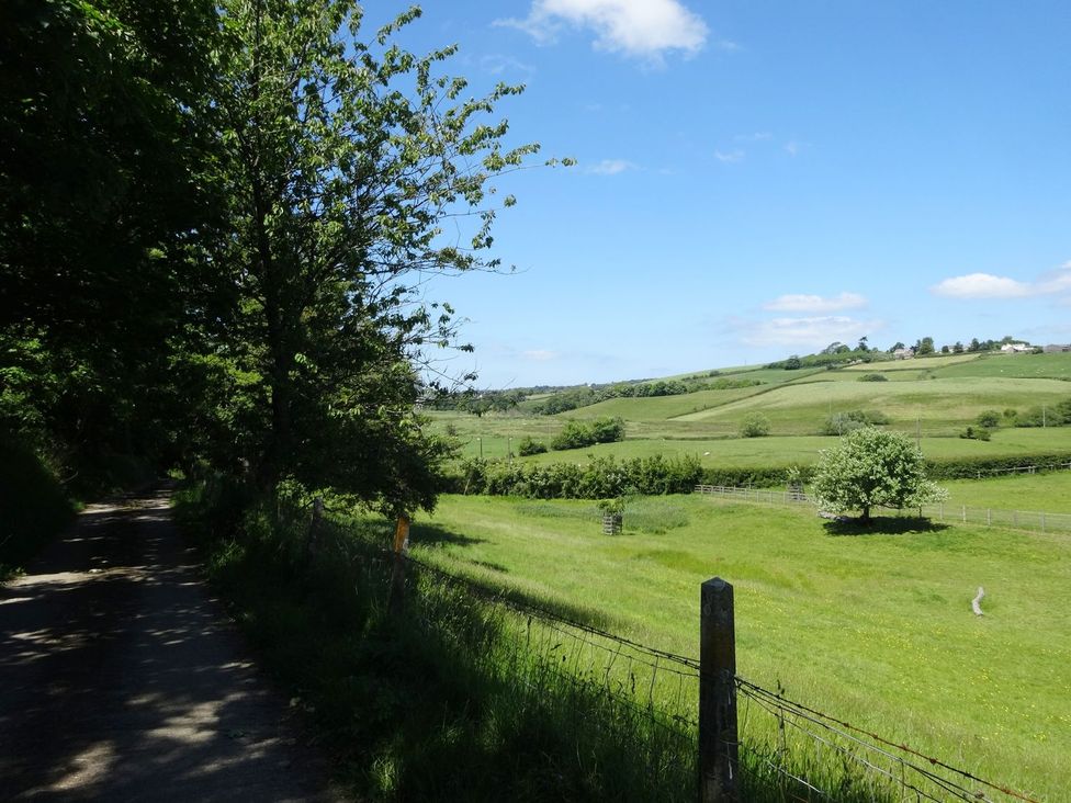 A road alongside trees and grass fields at Pillhead Cart Linhay Bideford