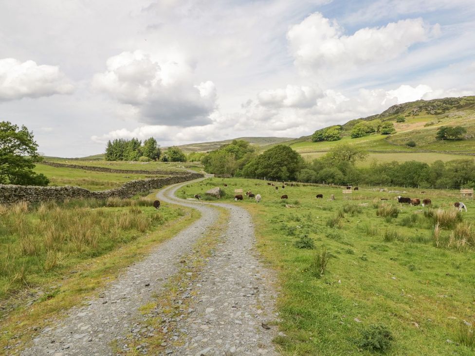 A gravel path with cattle grazing in a field at Brigg House in Broughton-in-Furness