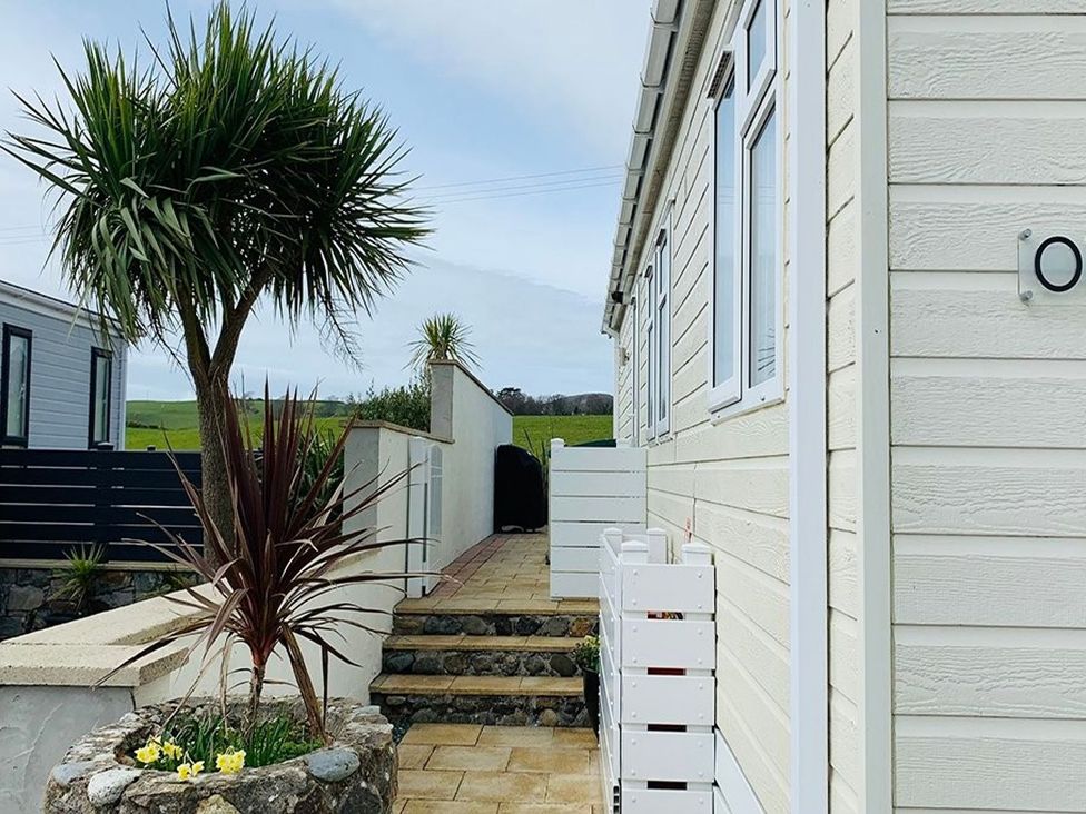 An outdoor pathway with steps and a plant at O7 in Abersoch