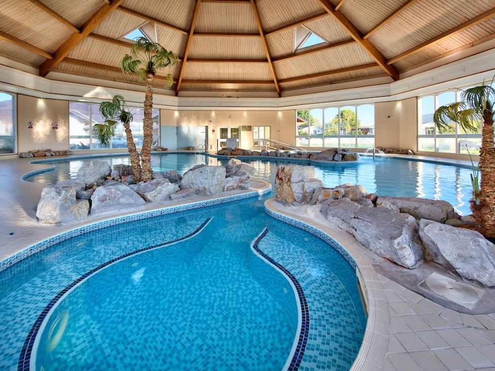 An indoor pool area with rocks and palm trees at O7 in Abersoch