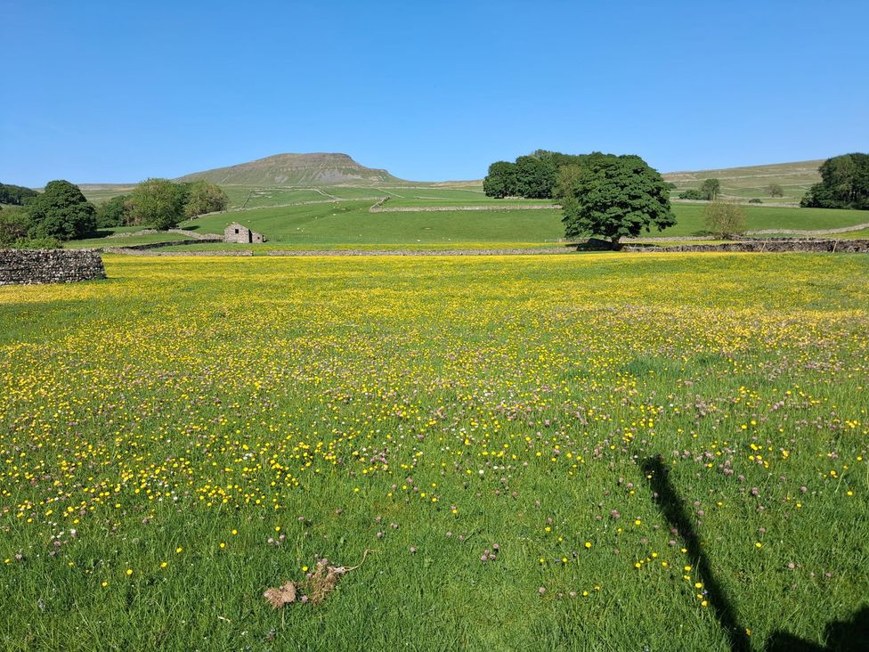 A meadow with flowers and a shed near a mountain at Beckdale Horton-in-Ribblesdale near Settle