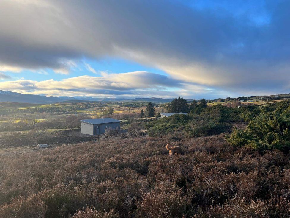 A landscape with a cabin and a dog at Migdale Heights - Luxury Cabins in The Highlands