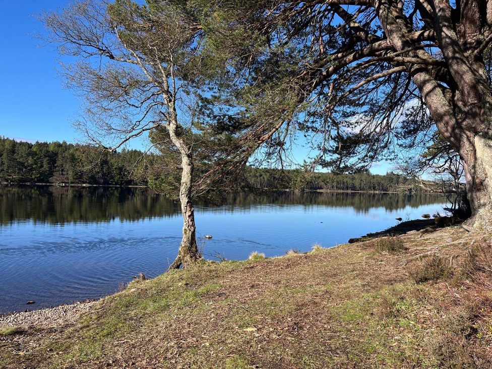 A view of a lake with trees along the shore at Migdale Heights - Luxury Cabins in The Highlands