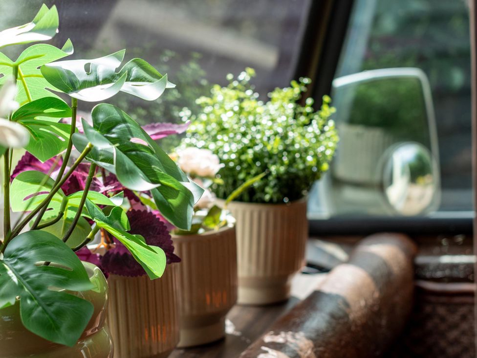Potted plants near a window at Sleeps 2 -Pets Welcome -Private Hot Tub -Alabama
